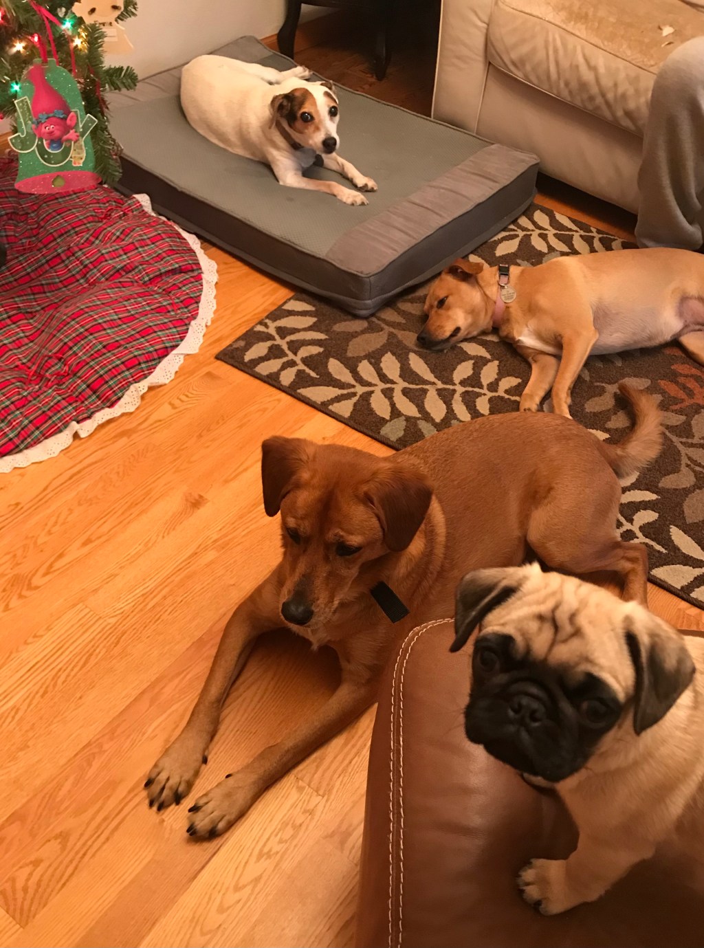 Of All the&nbsp;Idioms